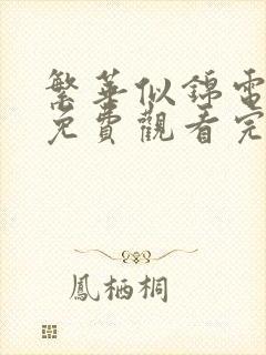 繁华似锦电视剧免费观看完整版星辰影院封面