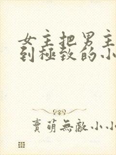 女主把男主囚禁到极致的小说