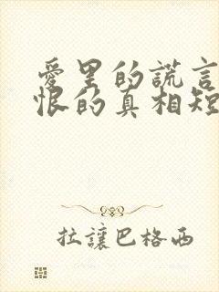 爱里的谎言,仇恨的真相短剧免费看