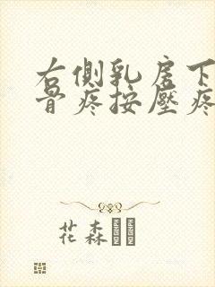 右侧乳房下边肋骨疼按压疼