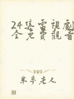 24集电视剧大全免费观看封面