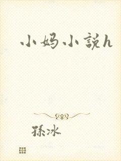 小妈小说h