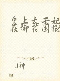 皇上太子妃沈音在御花园树上