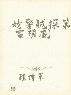 妙警贼探第二季 电视剧