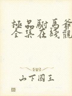 极品驸马爷短剧全集在线观看