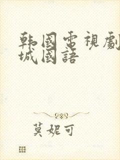 韩国电视剧不夜城国语封面