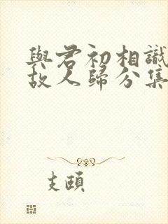 与君初相识恰似故人归分集剧情