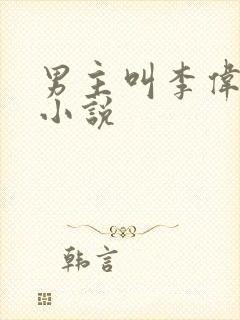 男主叫李伟杰的小说