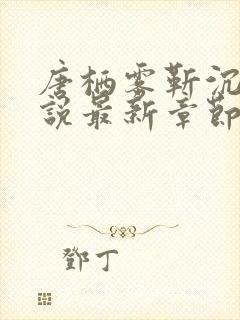 唐栖雾靳沉野小说最新章节封面