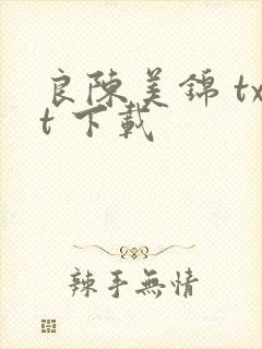 良陈美锦 txt 下载