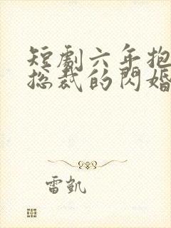 短剧六年抱俩,总裁的闪婚妻封面