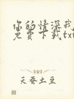 你的情深我不配免费下载txt