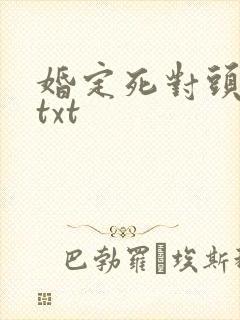 婚定死对头小说txt
