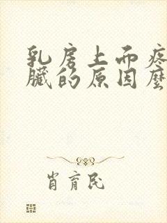 乳房上面疼是心脏的原因么