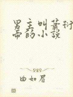 男主叫萧衍是皇帝的小说封面