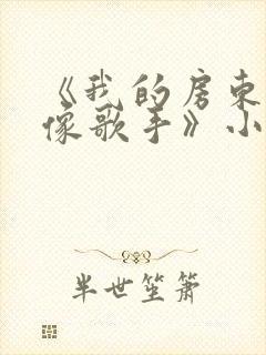 《我的房东是偶像歌手》小说封面