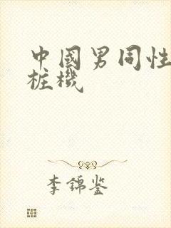 中国男同性恋打桩机封面