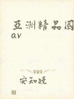 亚洲精品国产 av