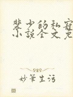 裴少的私宠娇妻小说全文免费