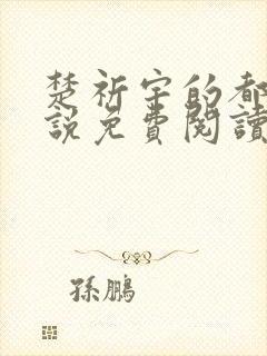 楚祈宇的都市小说免费阅读全文