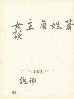 女主角姓萧的小说