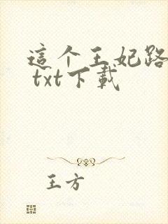 这个王妃路子野 txt下载封面