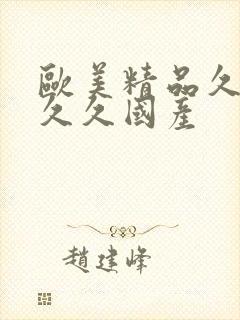 欧美精品久久久久久国产