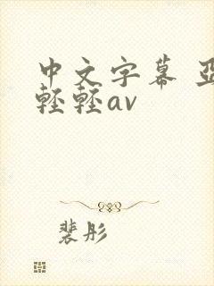 中文字幕 亚洲轻轻av