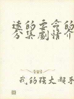 远的要命的爱情分集剧情介绍