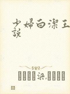 少妇白洁王申小说