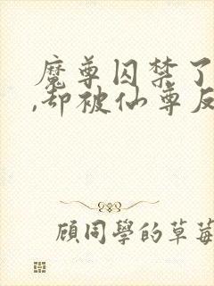 魔尊囚禁了仙尊,却被仙尊反攻了封面