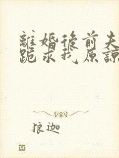 离婚后前夫全家跪求我原谅短剧全集