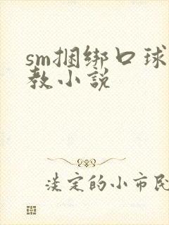 sm捆绑口球调教小说
