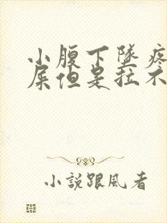 小腹下坠疼想拉屎但是拉不出