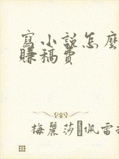 写小说怎么挣钱赚稿费