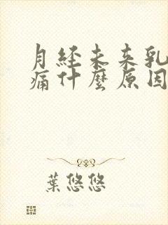 月经未来乳房胀痛什么原因