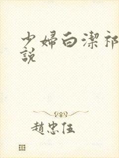 少妇白洁祁振小说封面