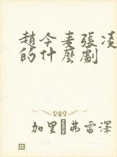 赵今麦张凌赫演的什么剧