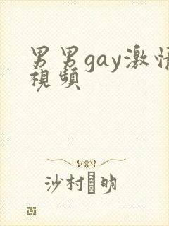 男男gay激情视频