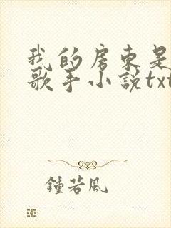 我的房东是偶像歌手小说txt下载封面