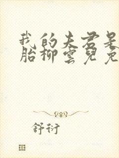 我的夫君是双胞胎柳云儿免费阅读