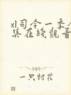 xl司令一季全集在线观看免费播放