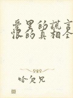 爱里的谎言,仇恨的真相全集封面