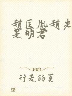 赵匡胤赵光义谁是明君