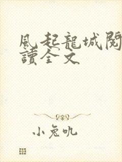 风起龙城阅读阅读全文