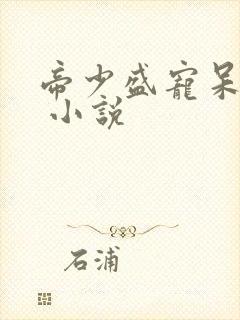 帝少盛宠呆萌妻 小说封面