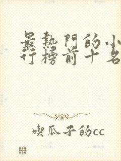 最热门的小说排行榜前十名