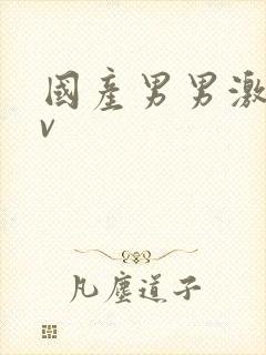 国产男男激情gv