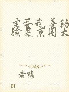 完蛋我养的小白脸是京圈太子爷短视频短剧封面