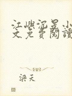 江屿沉星小说全文免费阅读封面